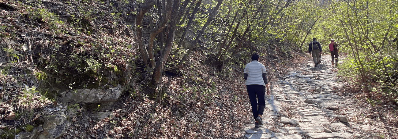 Percorso di Trekking a Sardigliano