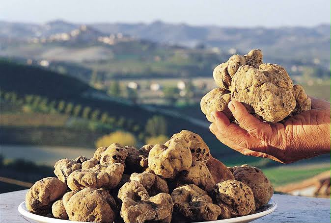 Fiera del tartufo - Offerta camere